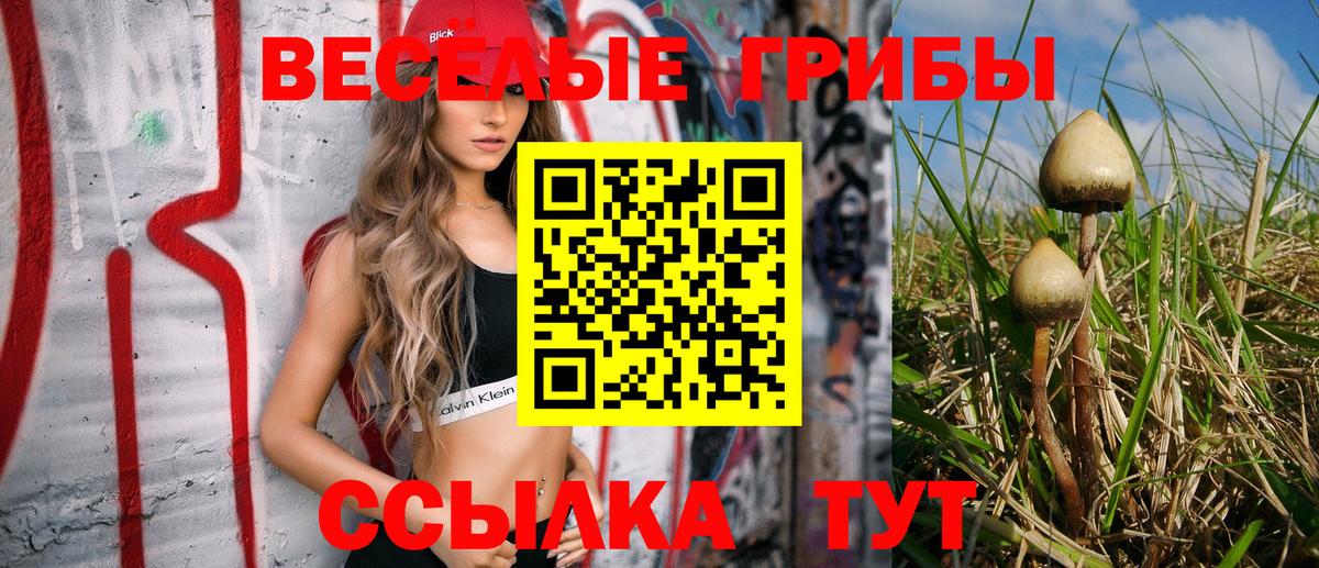 Галлюциногенные грибы прущие грибы Отрадное