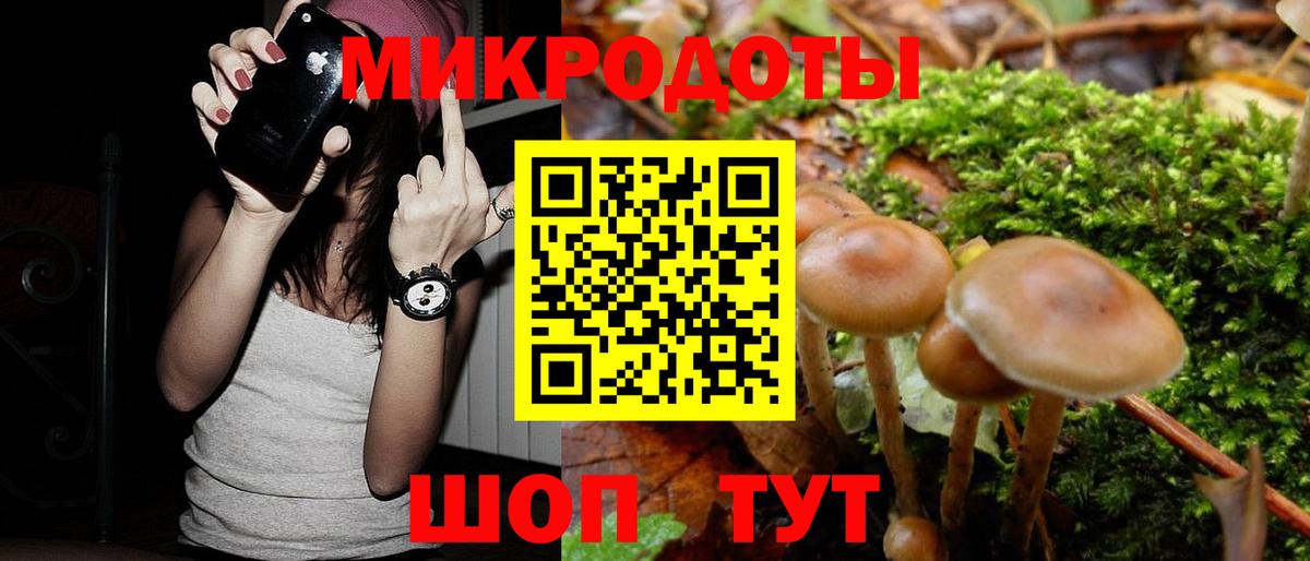 Псилоцибиновые грибы Cubensis  Вход с VPN  Отрадное 
